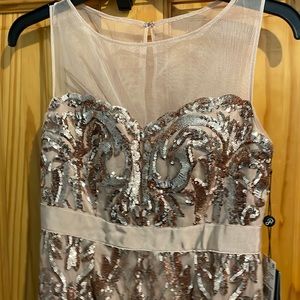 Adrianna Papell Gown size 0